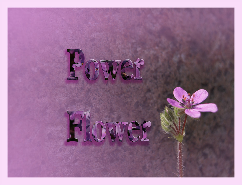 Power Flower