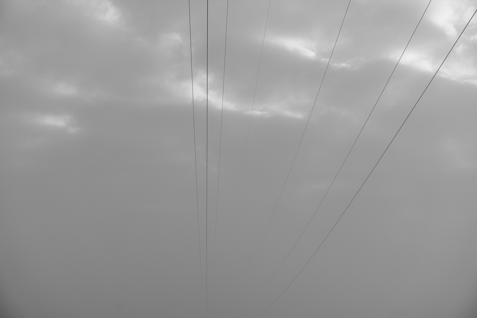 Power Lines get lost in fog