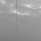 Power Lines get lost in fog