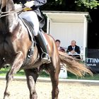 Power of a dressagehorse