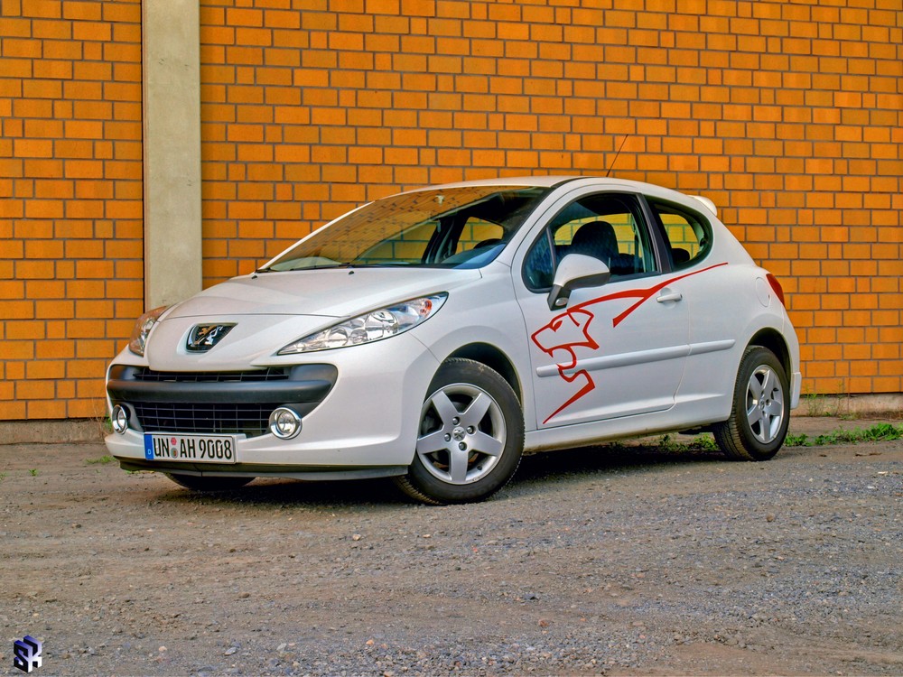 Power of lion - Peugeot 207 RC