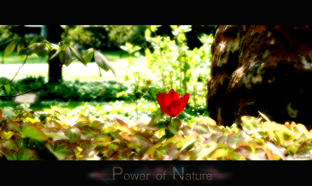 power of nature