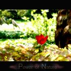 power of nature