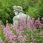 Powerscourt Gardens