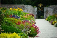 Powerscourt Gardens III