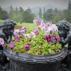 Powerscourt Gardens Irland