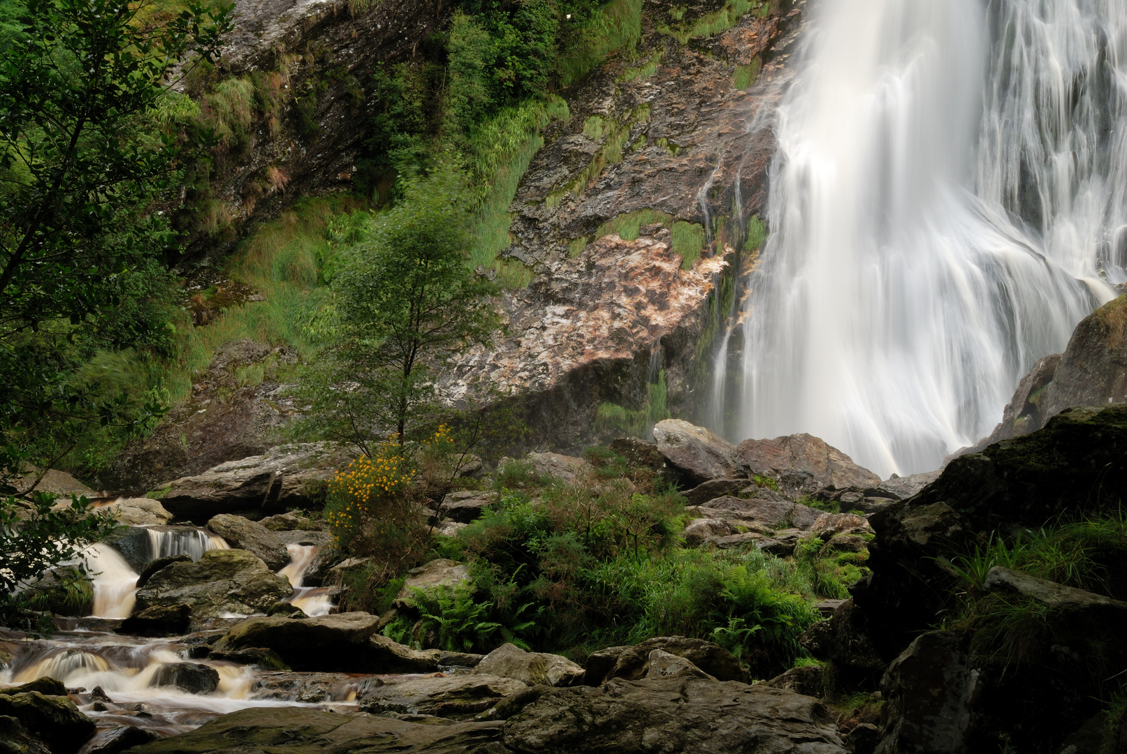 Powerscourt Wasserfall Irland