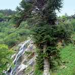 Powerscourt Waterfall 1