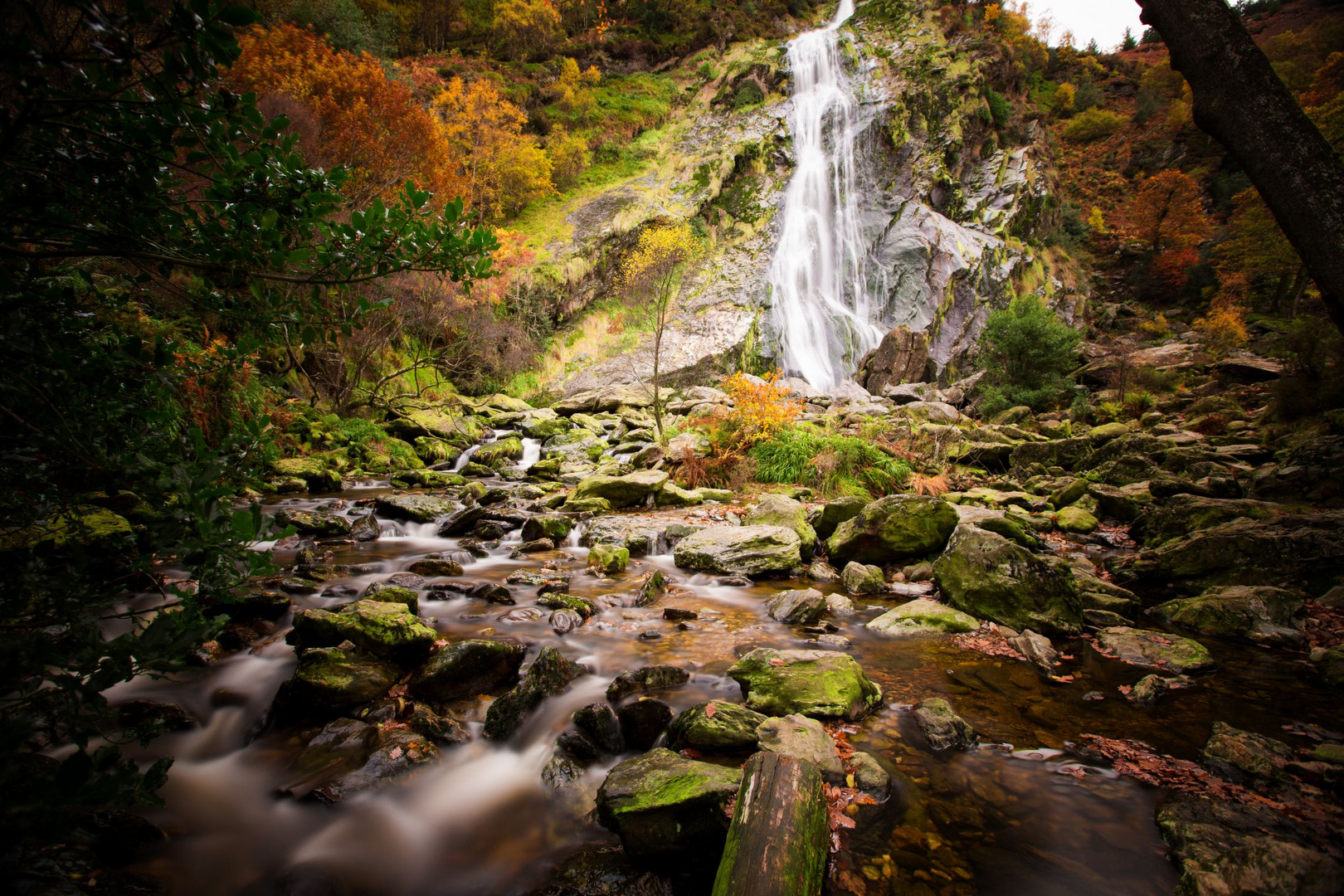 Powerscourt Waterfall