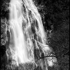 Powerscourt Waterfall