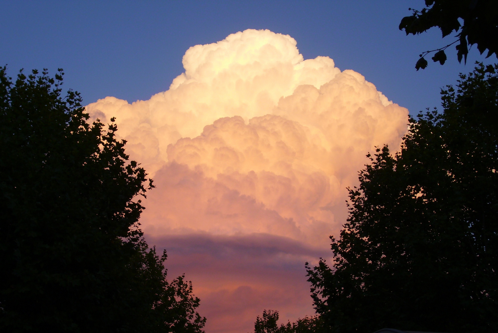 Powerwolke in der Abendsonne