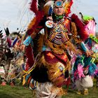 Powwow 20090815GK138