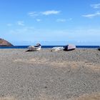 Pozo Negro, Fuerteventura