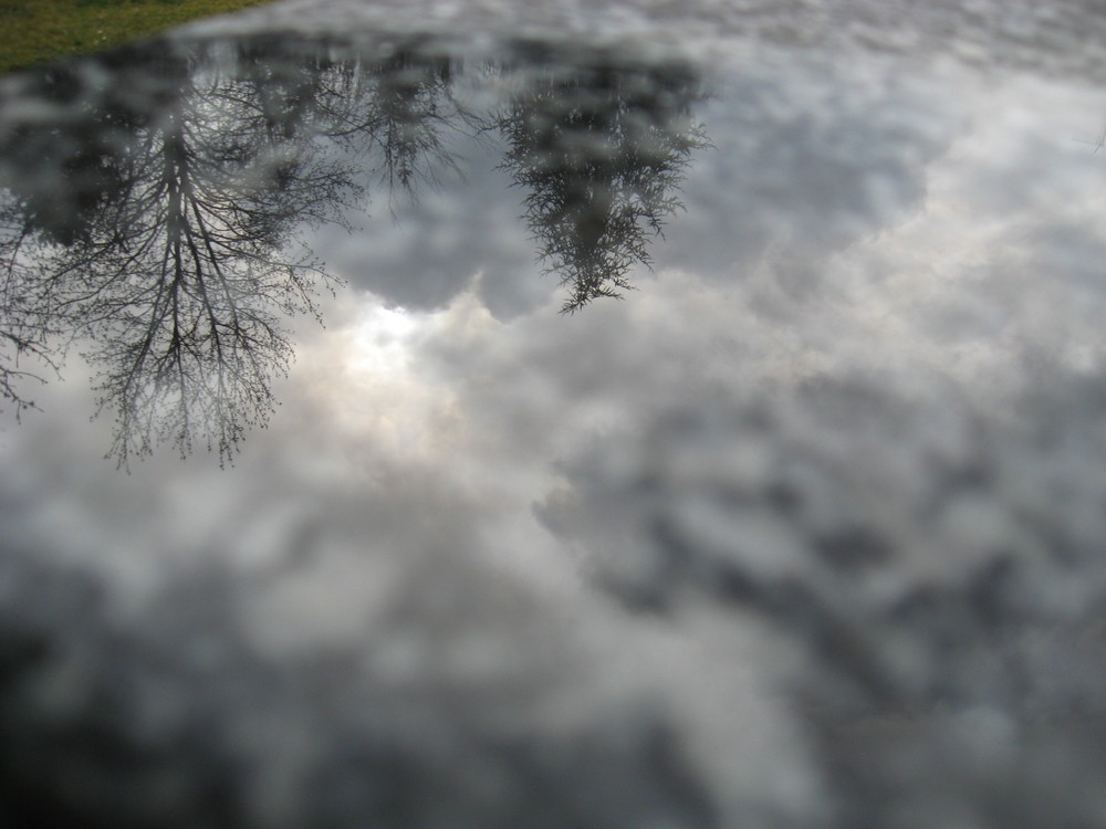 pozza d'acqua su marmo riflette il cielo e gli alberi