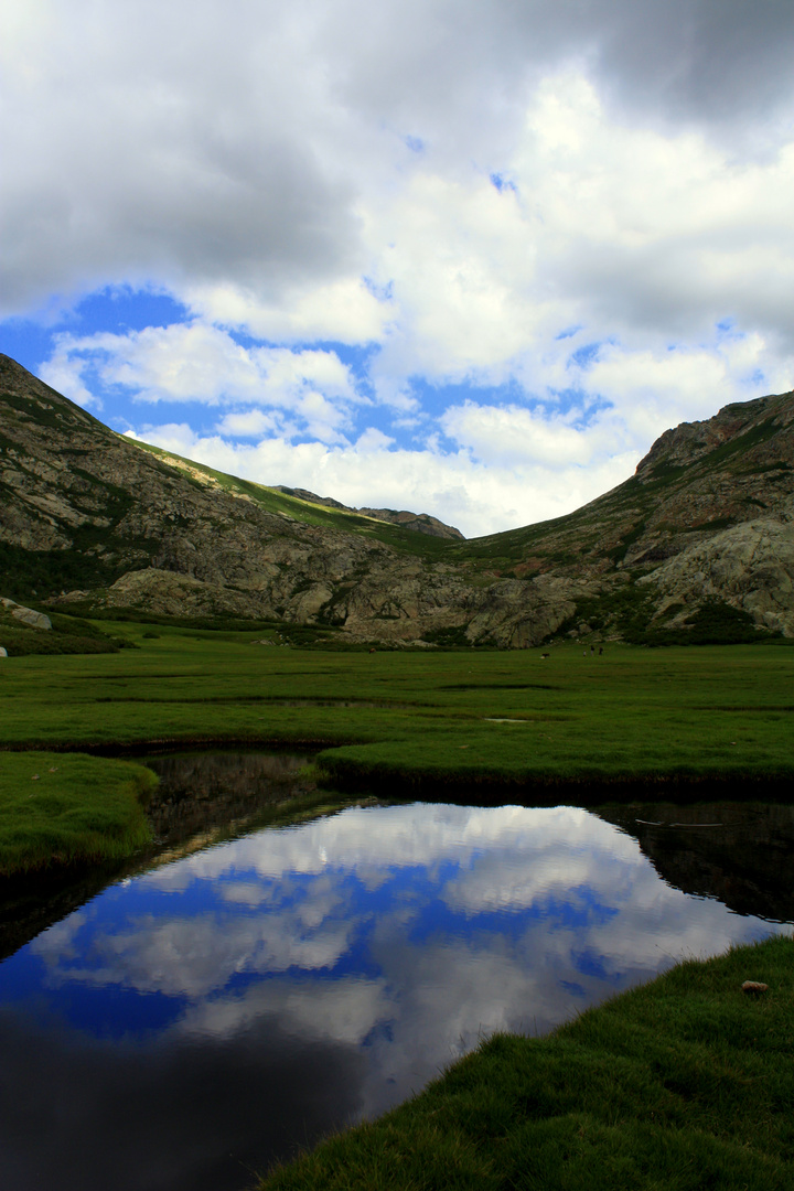 Pozzines de Corse