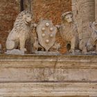 Pozzo dei grifi e dei leoni .(Montepulciano)