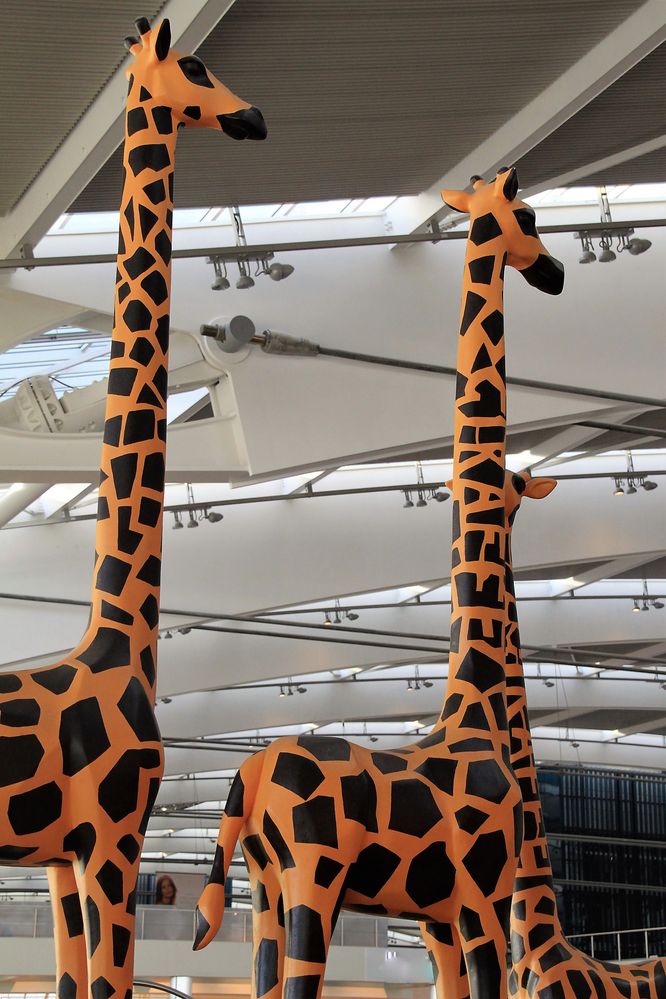 PP 2 Giraffen unterm Airportdach Gi-92col