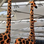 PP 2 Giraffen unterm Airportdach Gi-92col