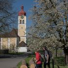 PP kraftvoller Frühling PP