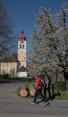 PP kraftvoller Frühling PP