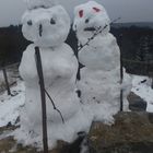 PP Schneemann Test J5-01