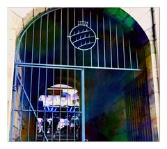 P_Platz p30-2024-07-22-904-colfx +text