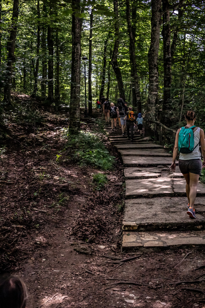 Pque. Nacional de Plitvice