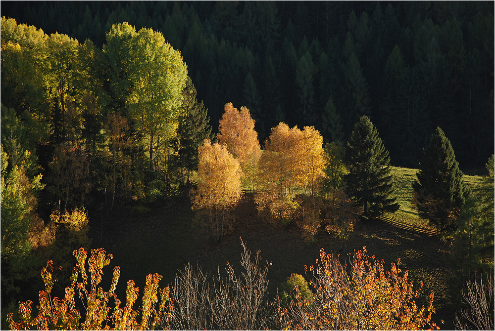 Pracht-Herbst auch ohne Lärchen.