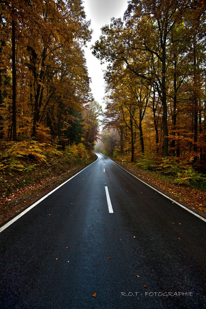 prachtstrasse im bayerwald