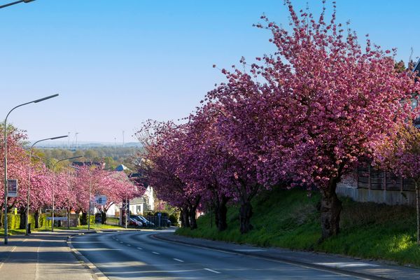Prachtstraße in Hückelhoven