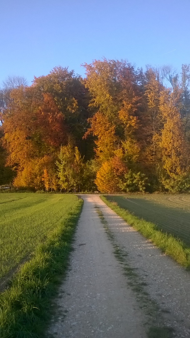 Prachtswetter