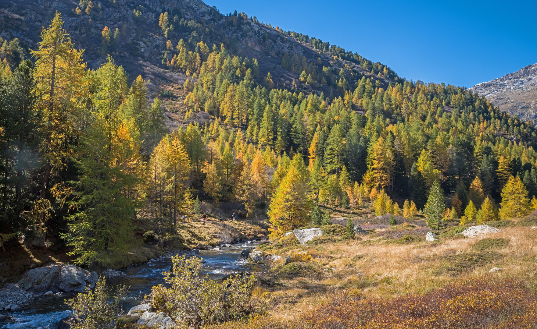 Prachtvoller Herbst 