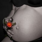Prachtvoller Schwangerschaftsbauch