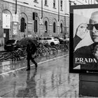 Prada im Regen