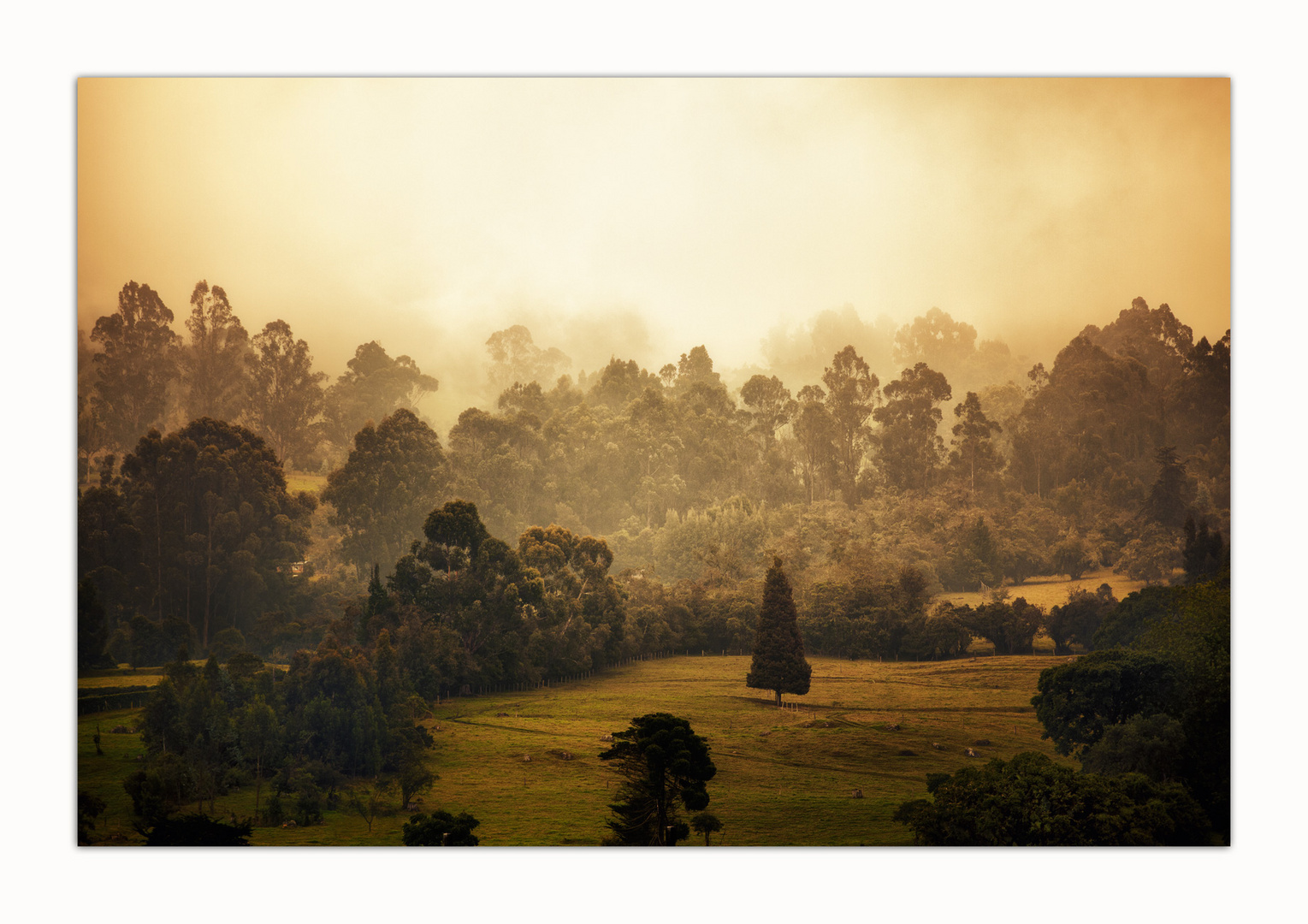 Pradera de Potosi