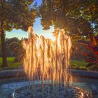 Prächtige Herbstfarben im Botanischen Garten Augsburg