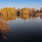 prächtiger Herbst