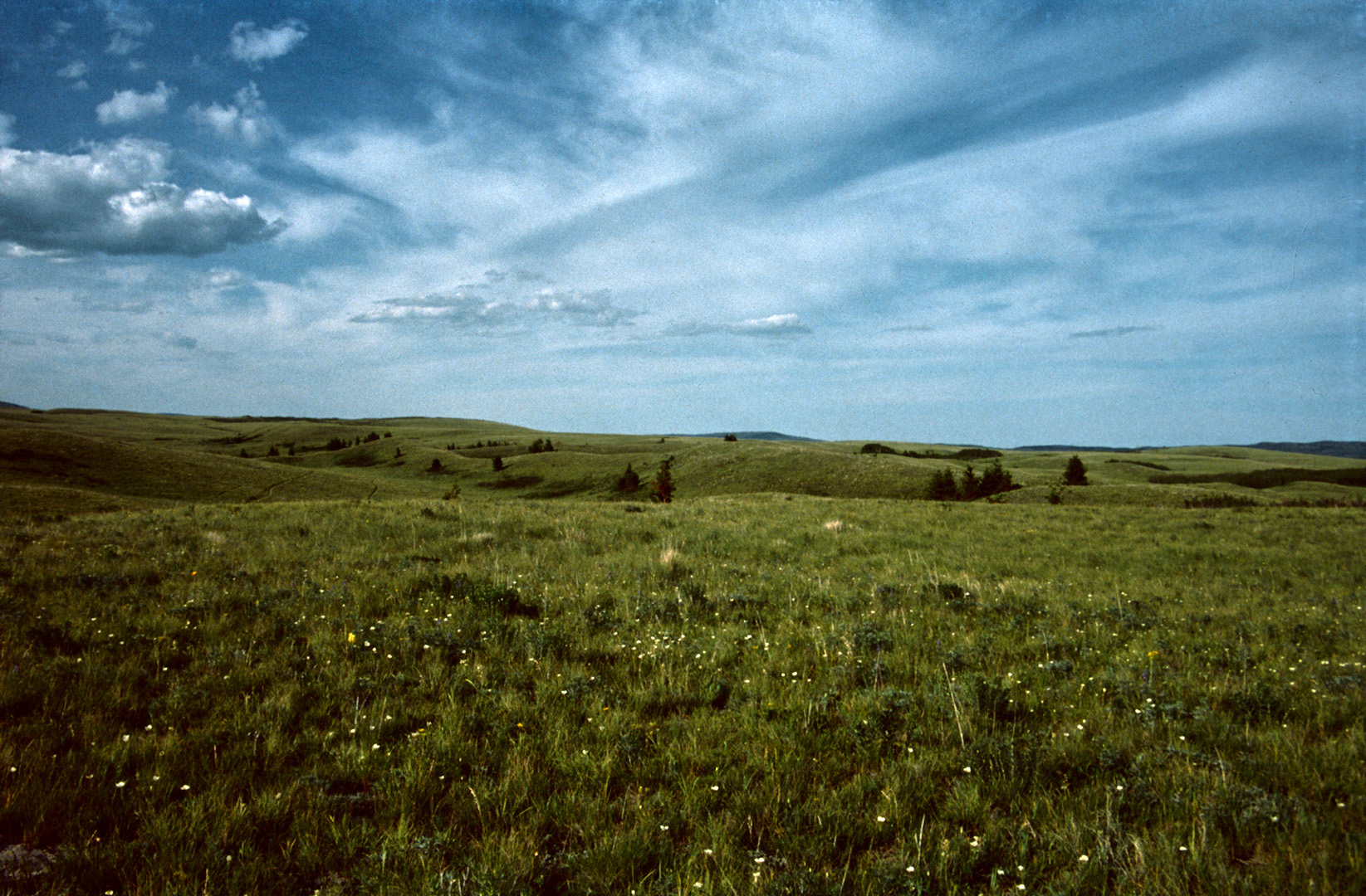 Prärielandschaft bei Browning, MT. - 1992