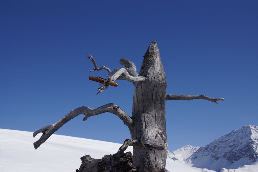 Prätschalp Impression in Arosa