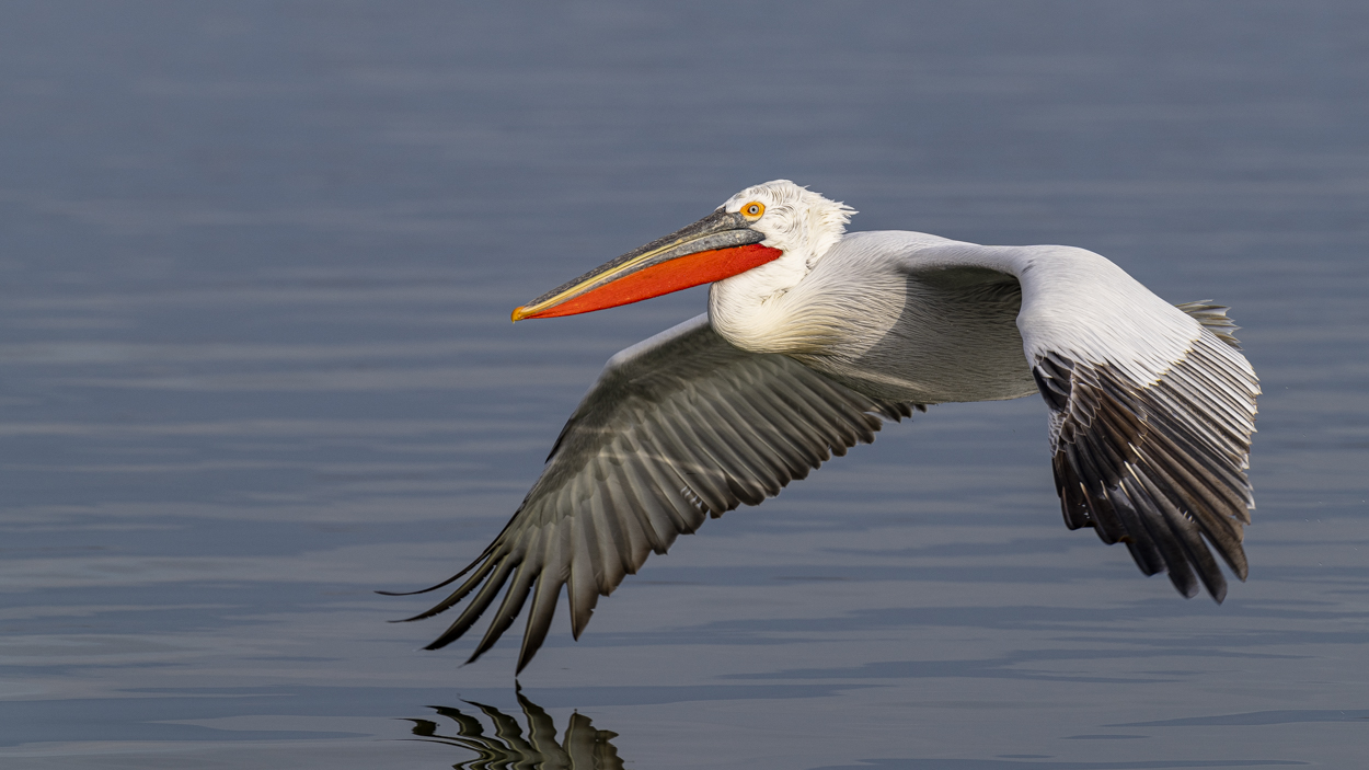 Präzision Foto & Bild wasser, griechenland, natur Bilder auf