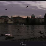 ~ Prag ~