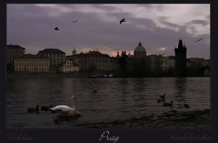 ~ Prag ~