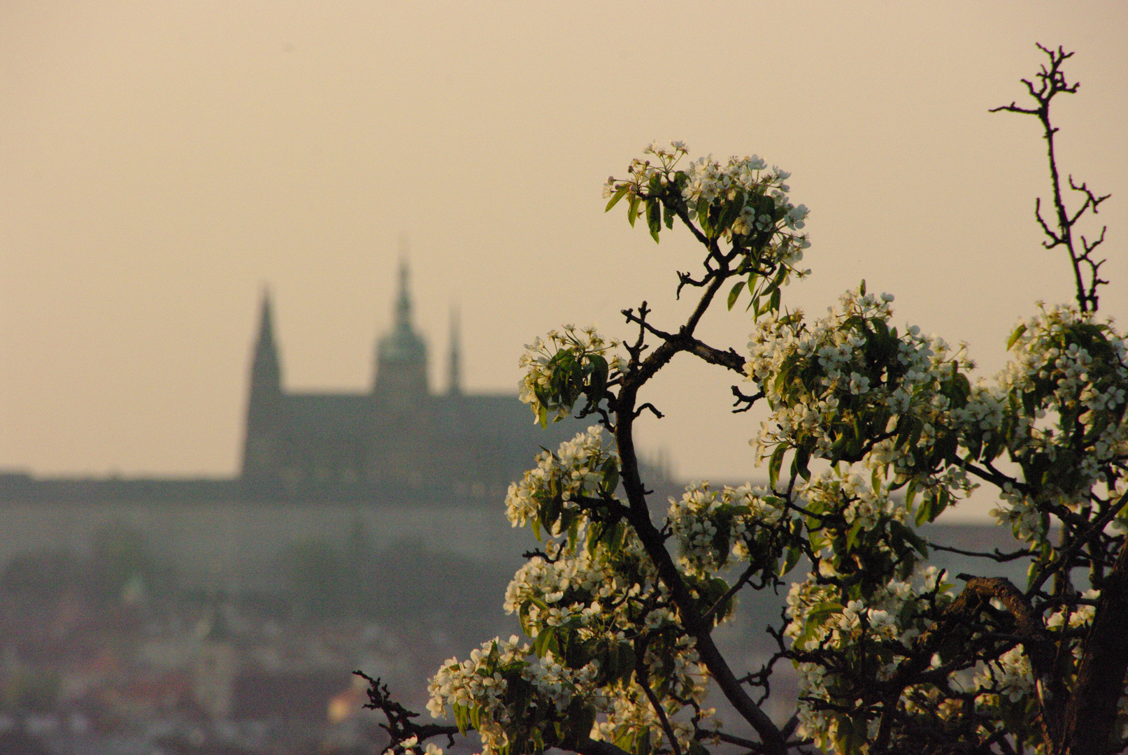 Prag aus einer anderen Sicht....