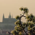 Prag aus einer anderen Sicht....