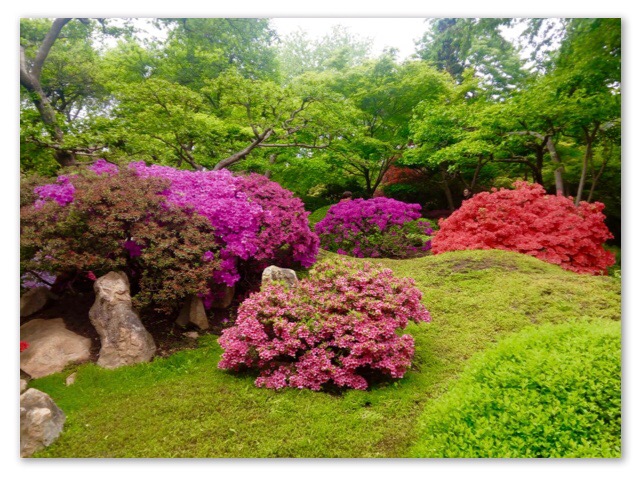 Prag Botanischer Garten