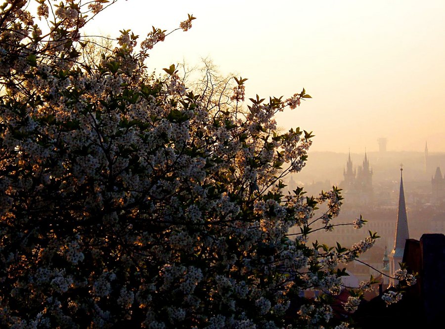 Prag im Mai bei Sonnenaufgang