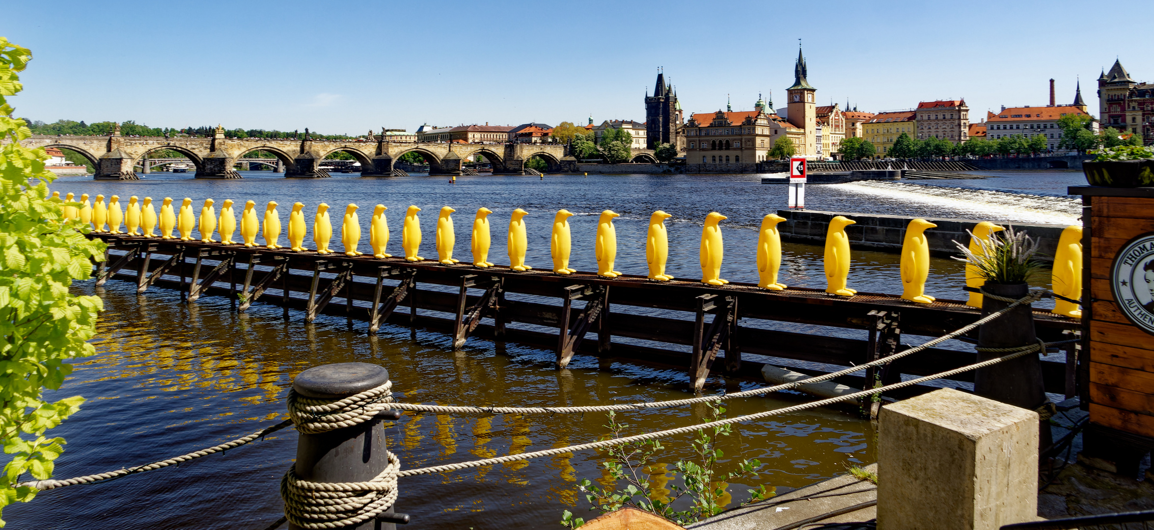 Prag: Karlsbrücke, Moldau und gelbe Pinguine