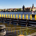 Prag: Karlsbrücke, Moldau und gelbe Pinguine