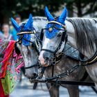 Prag - Kutschenfahrt am Altstadtring