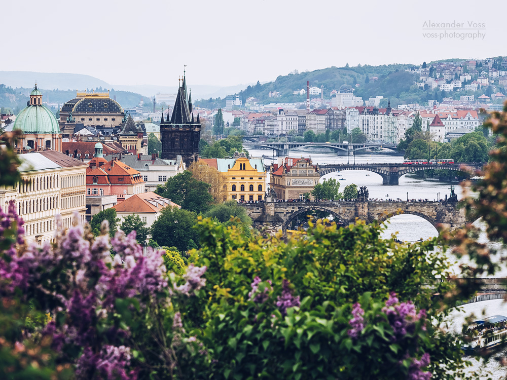 Prager Altstadt / Blick vom Letna-Park